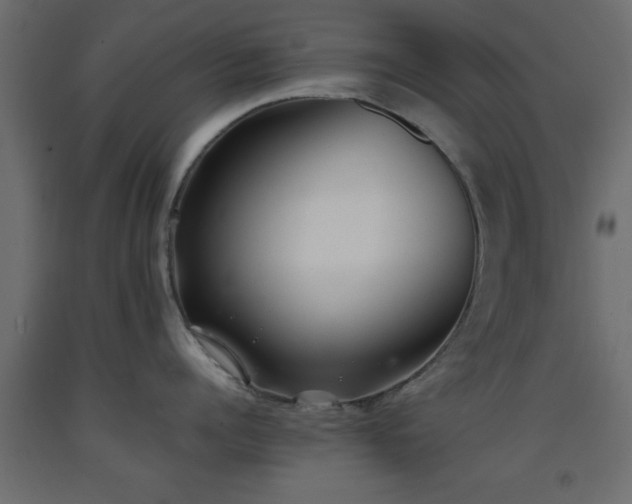 X0000093570960200710151125