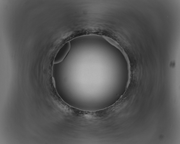 X0000093570961200710151124