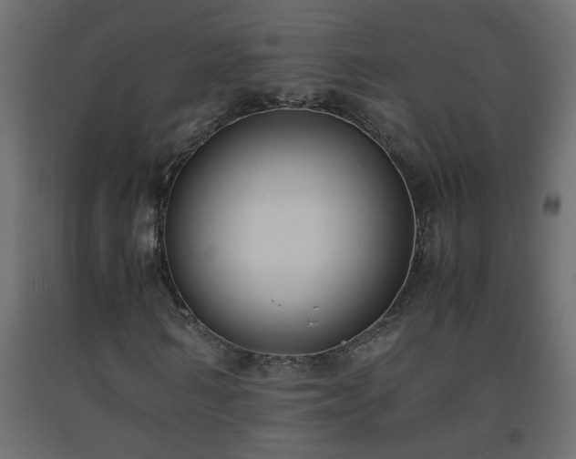 X0000093570962200710151124