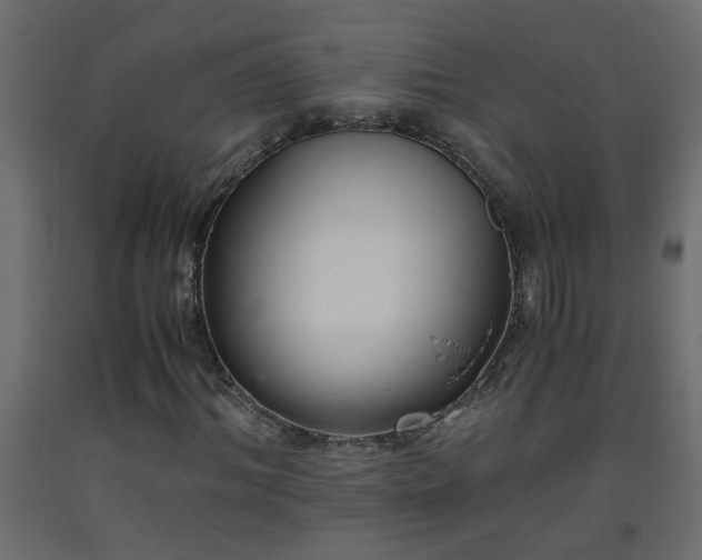 X0000093570964200710151124