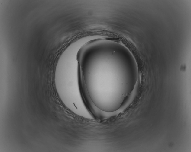 X0000093570965200710151124