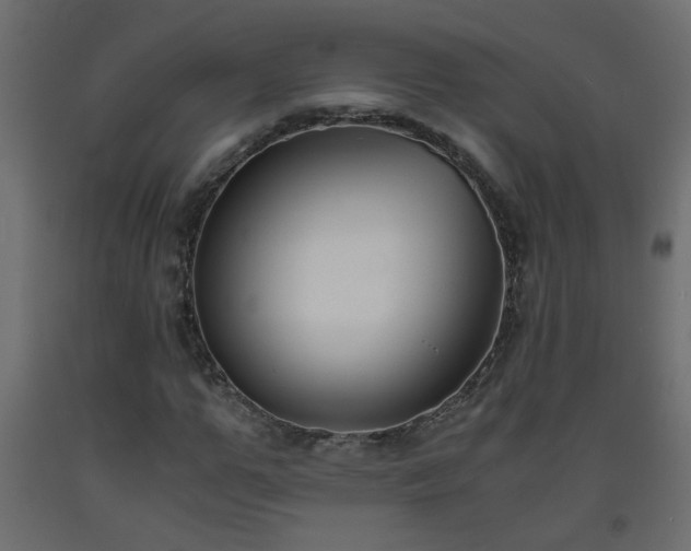 X0000093570967200710151124