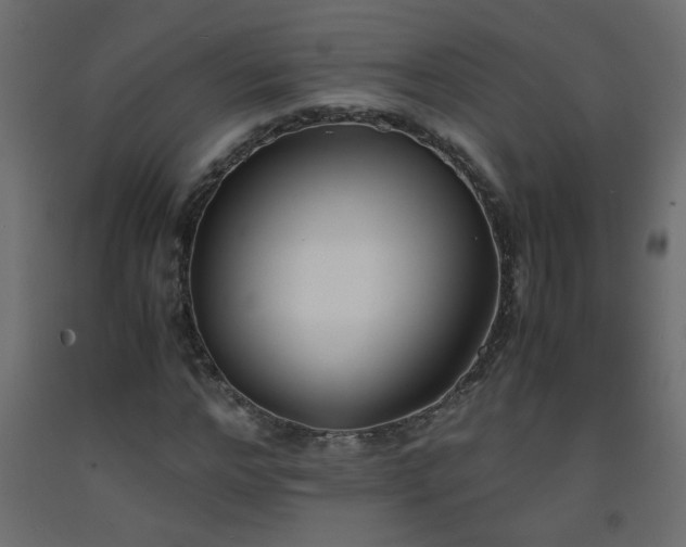 X0000093570968200710151124