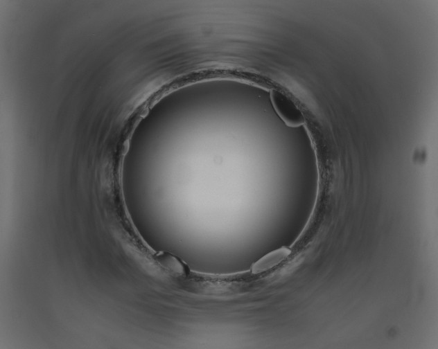 X0000093570969200710151124