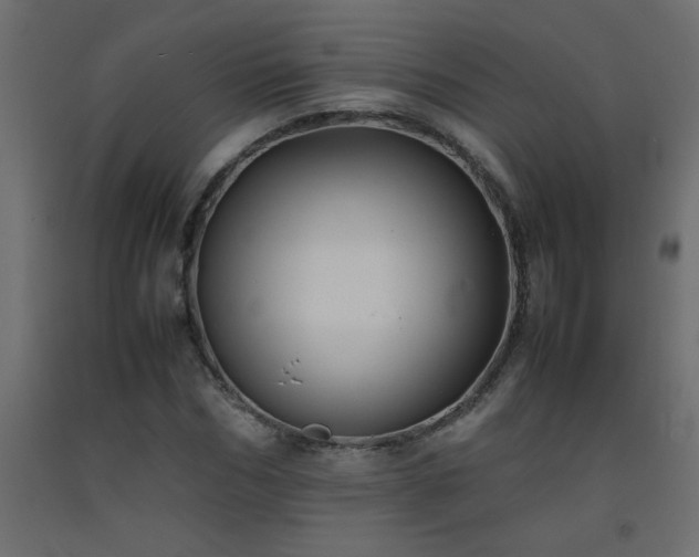 X0000093570970200710151124