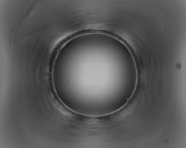 X0000093570971200710151124