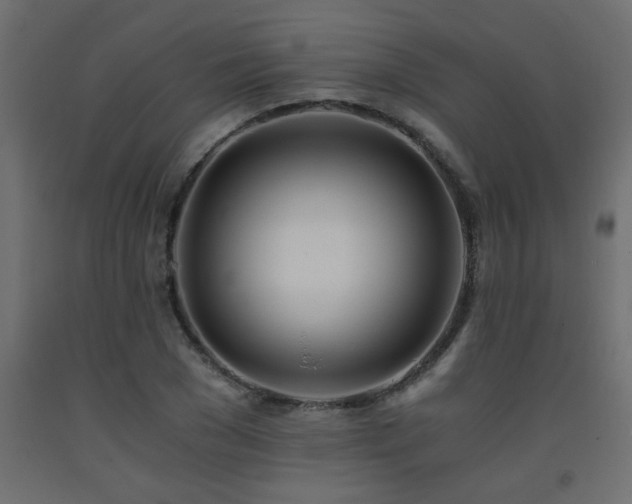 X0000093570977200710151124