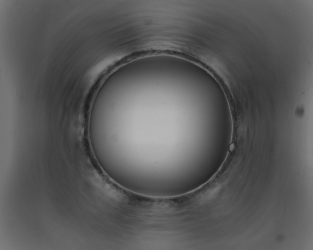 X0000093570979200710151124
