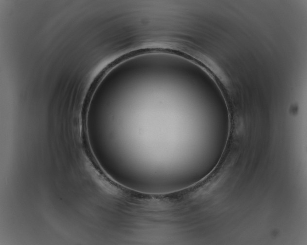 X0000093570980200710151124