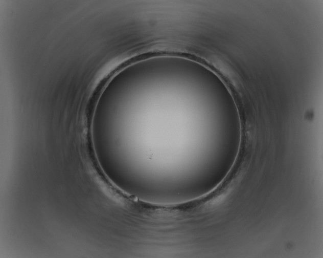 X0000093570981200710151124
