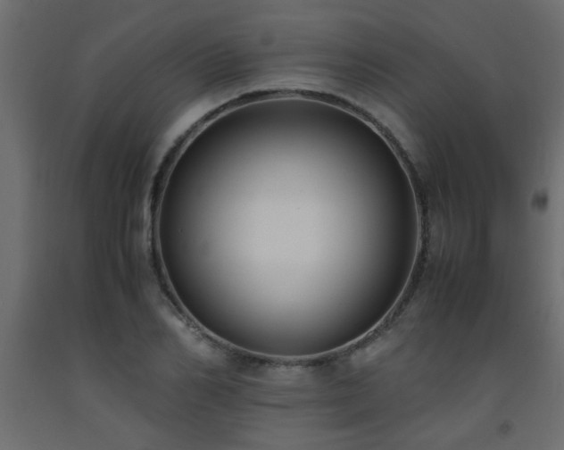 X0000093570982200710151124