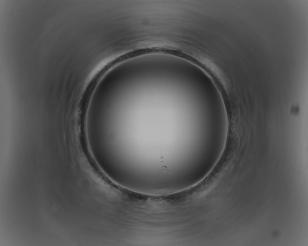 X0000093570983200710151124