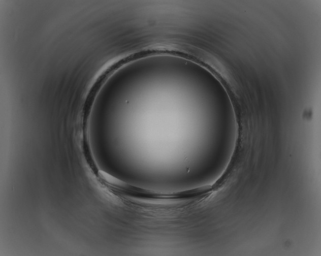 X0000093570984200710151124
