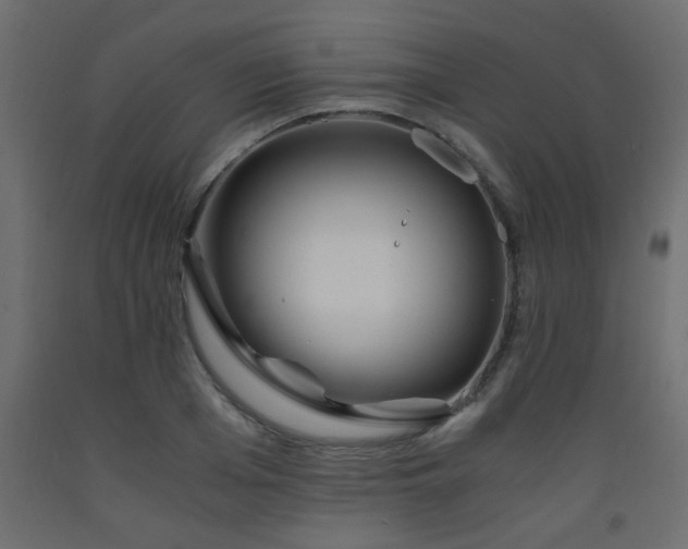 X0000093570985200710151124