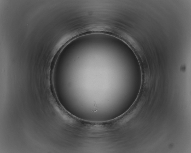 X0000093570986200710151124