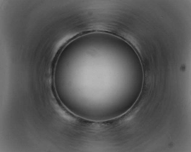X0000093570987200710151124