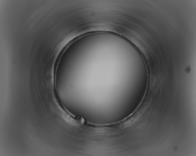 X0000093570988200710151124