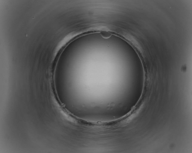 X0000093570989200710151124