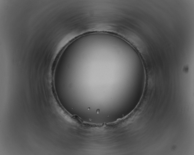 X0000093570990200710151124