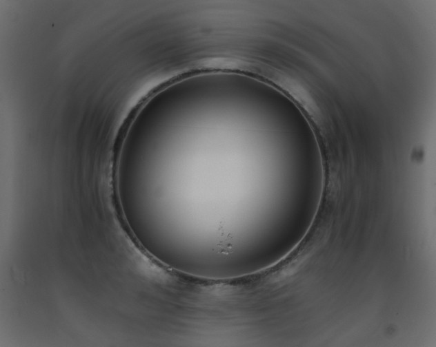 X0000093570992200710151124