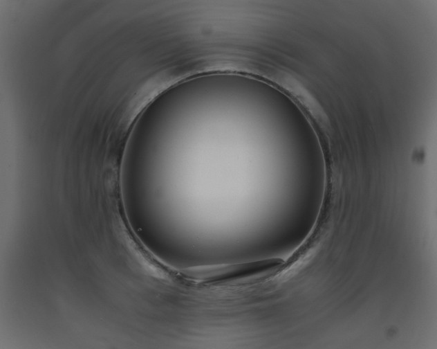 X0000093570993200710151124