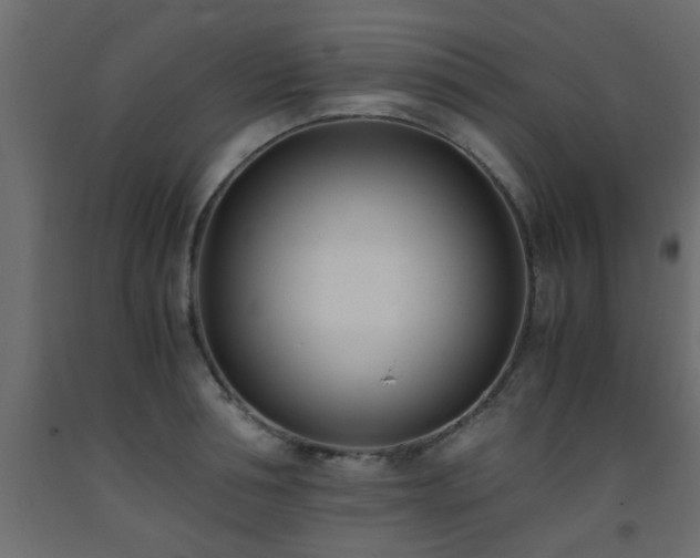 X0000093570994200710151124