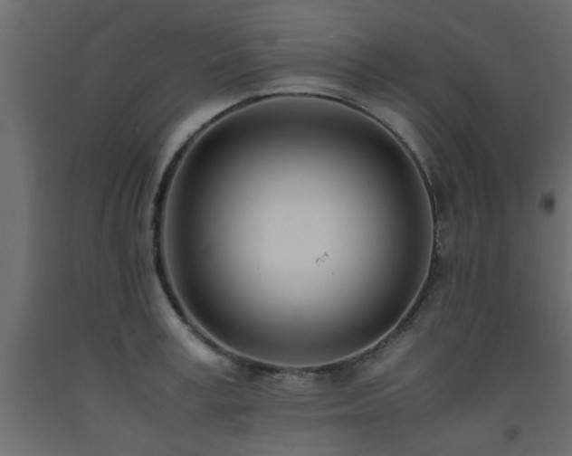 X0000093570995200710151124