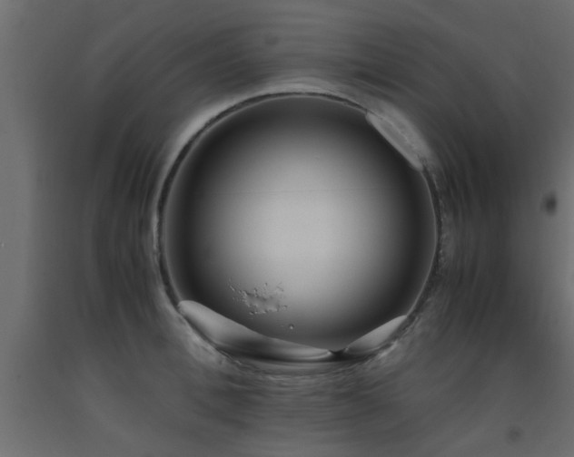 X0000093570996200710151124