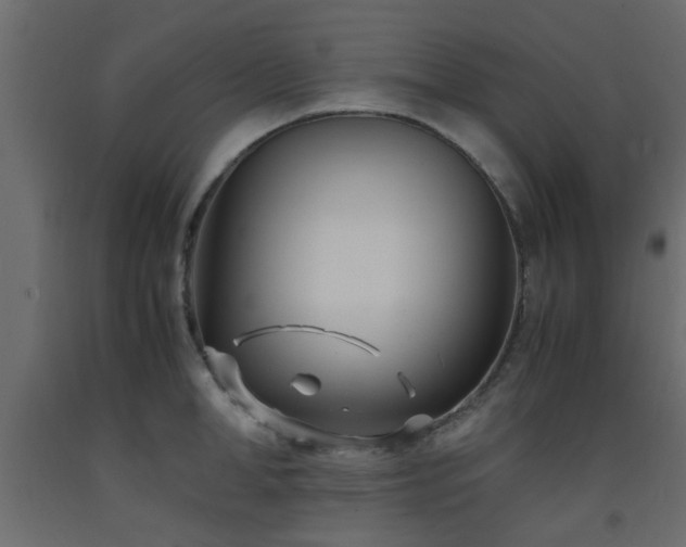 X0000093570998200710151124