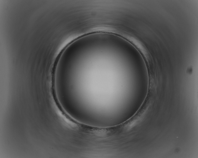 X0000093570999200710151124