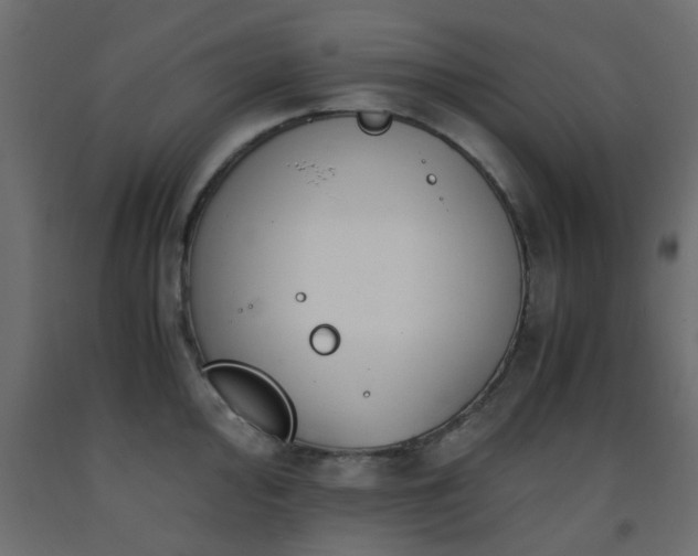 X0000093571000200710151124