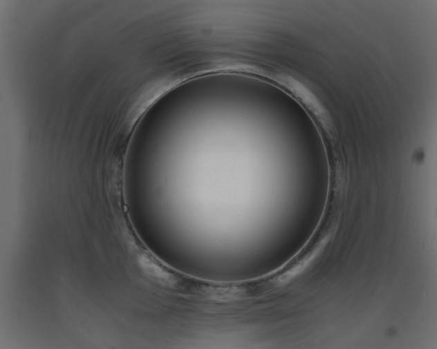 X0000093571001200710151124