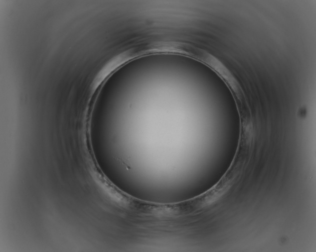 X0000093571002200710151124