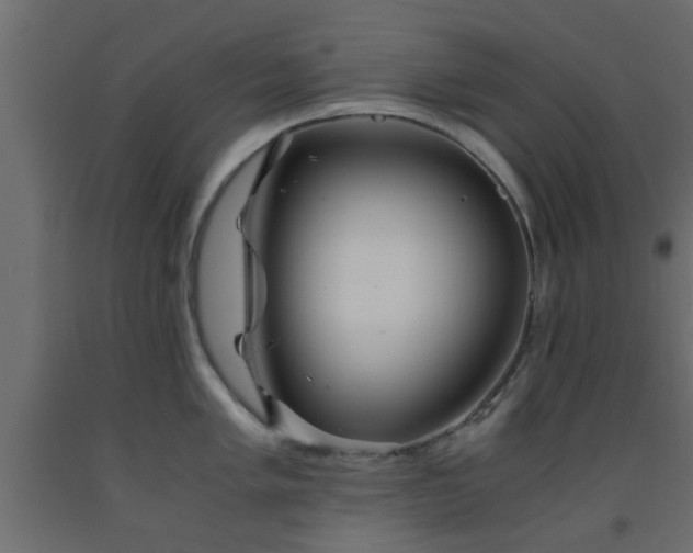 X0000093571005200710151124