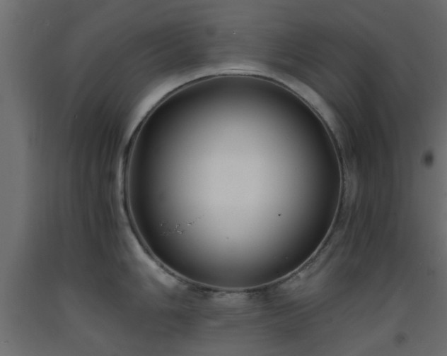 X0000093571006200710151124