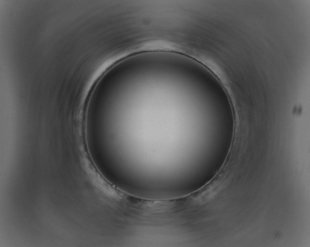 X0000093571008200710151123