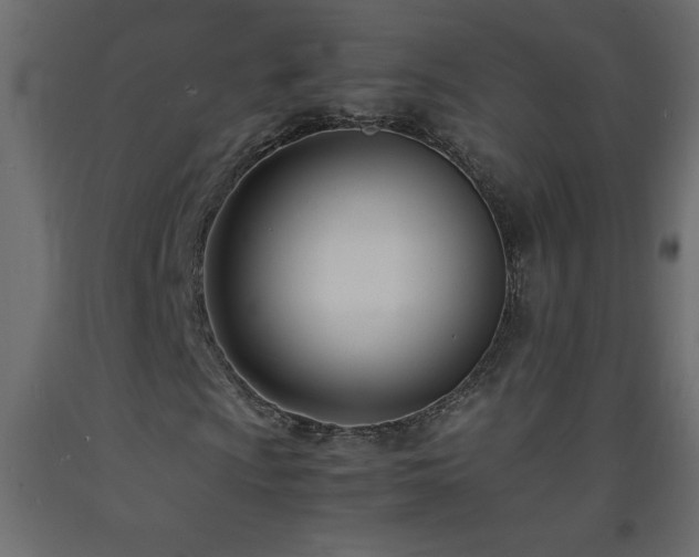 X0000093571009200710151123