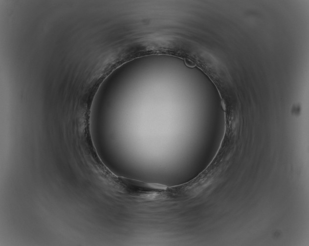 X0000093571012200710151123