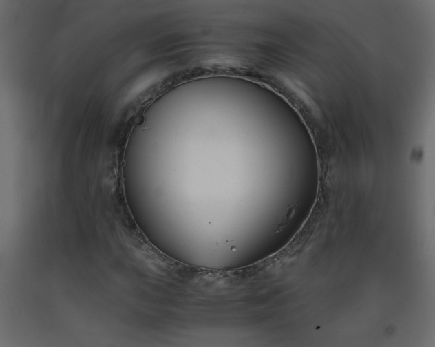 X0000093571015200710151123