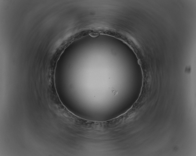 X0000093571016200710151123