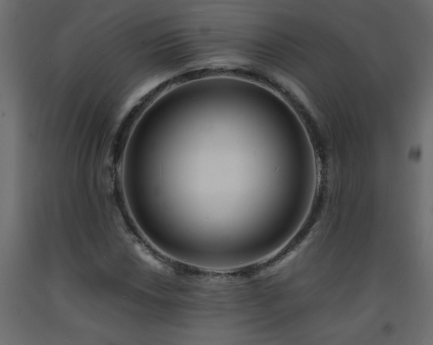 X0000093571018200710151123