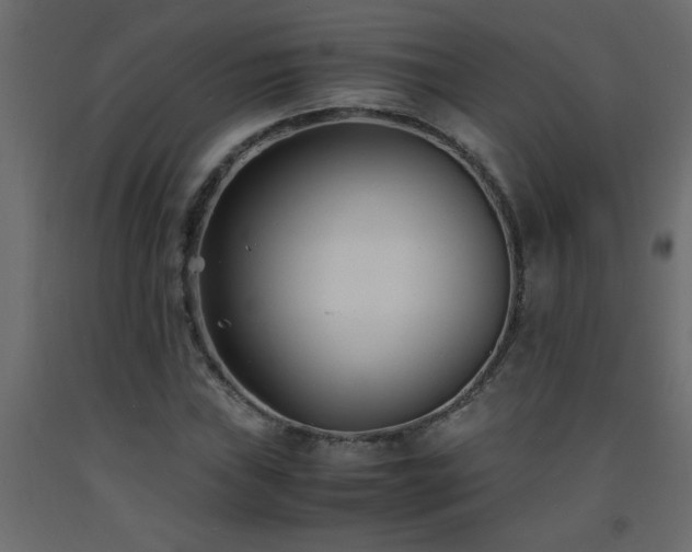 X0000093571019200710151123