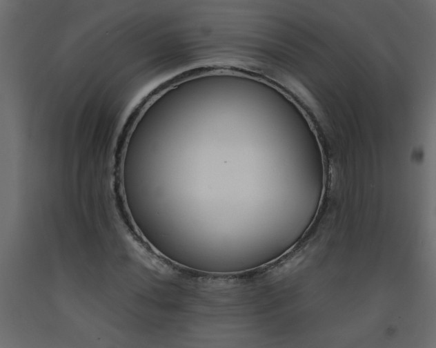 X0000093571020200710151123