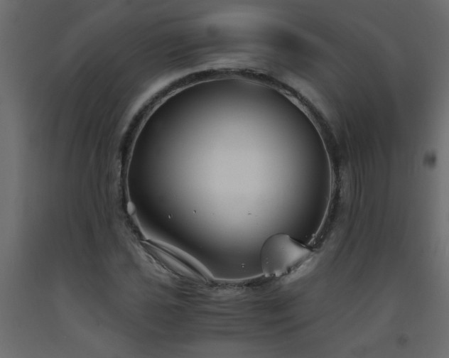 X0000093571021200710151123