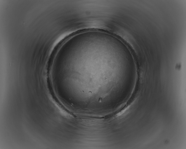 X0000093571024200710151123