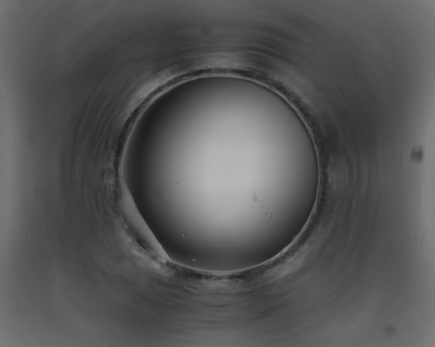 X0000093571025200710151123