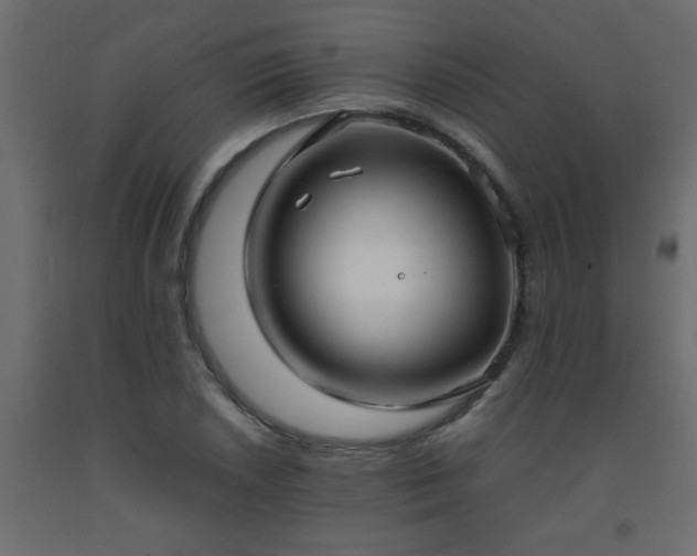 X0000093571026200710151123