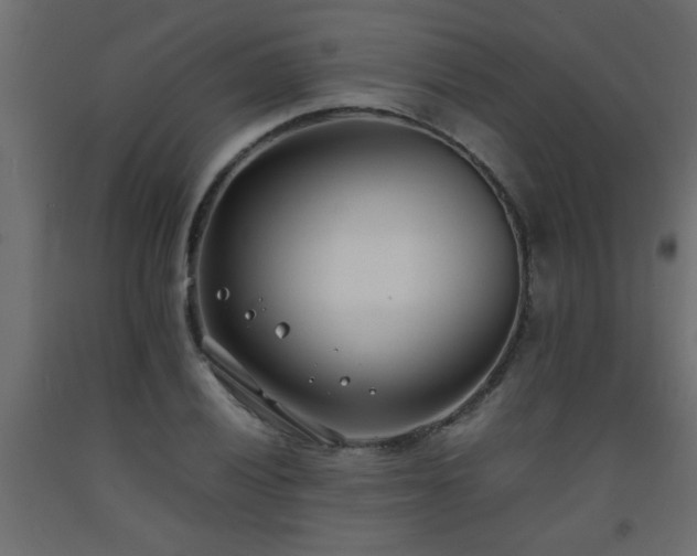 X0000093571028200710151123