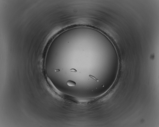 X0000093571029200710151123