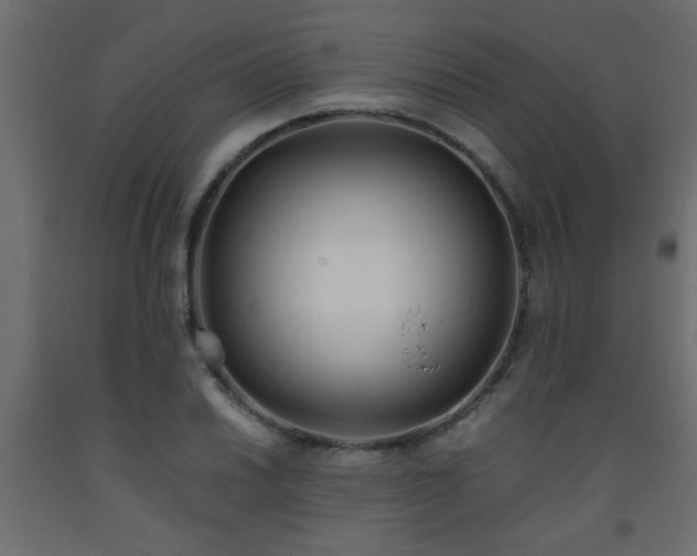 X0000093571030200710151123